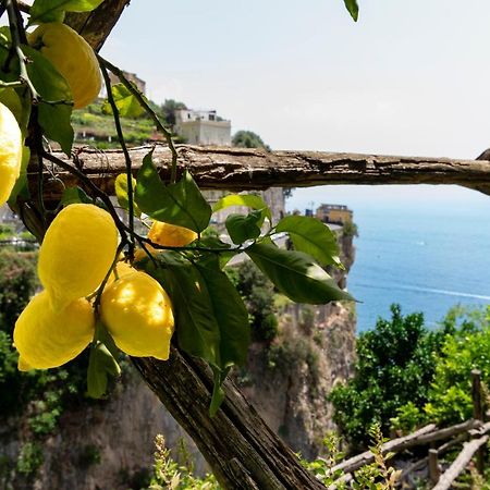 Hotel La Pergola Amalfi Esterno foto