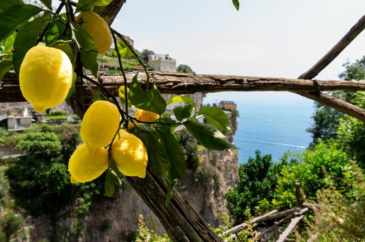 Hotel La Pergola Amalfi Esterno foto