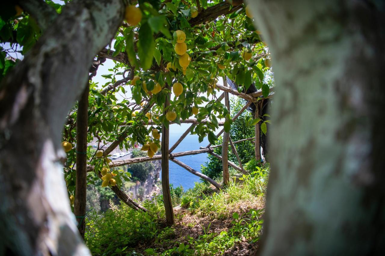Hotel La Pergola Amalfi Esterno foto
